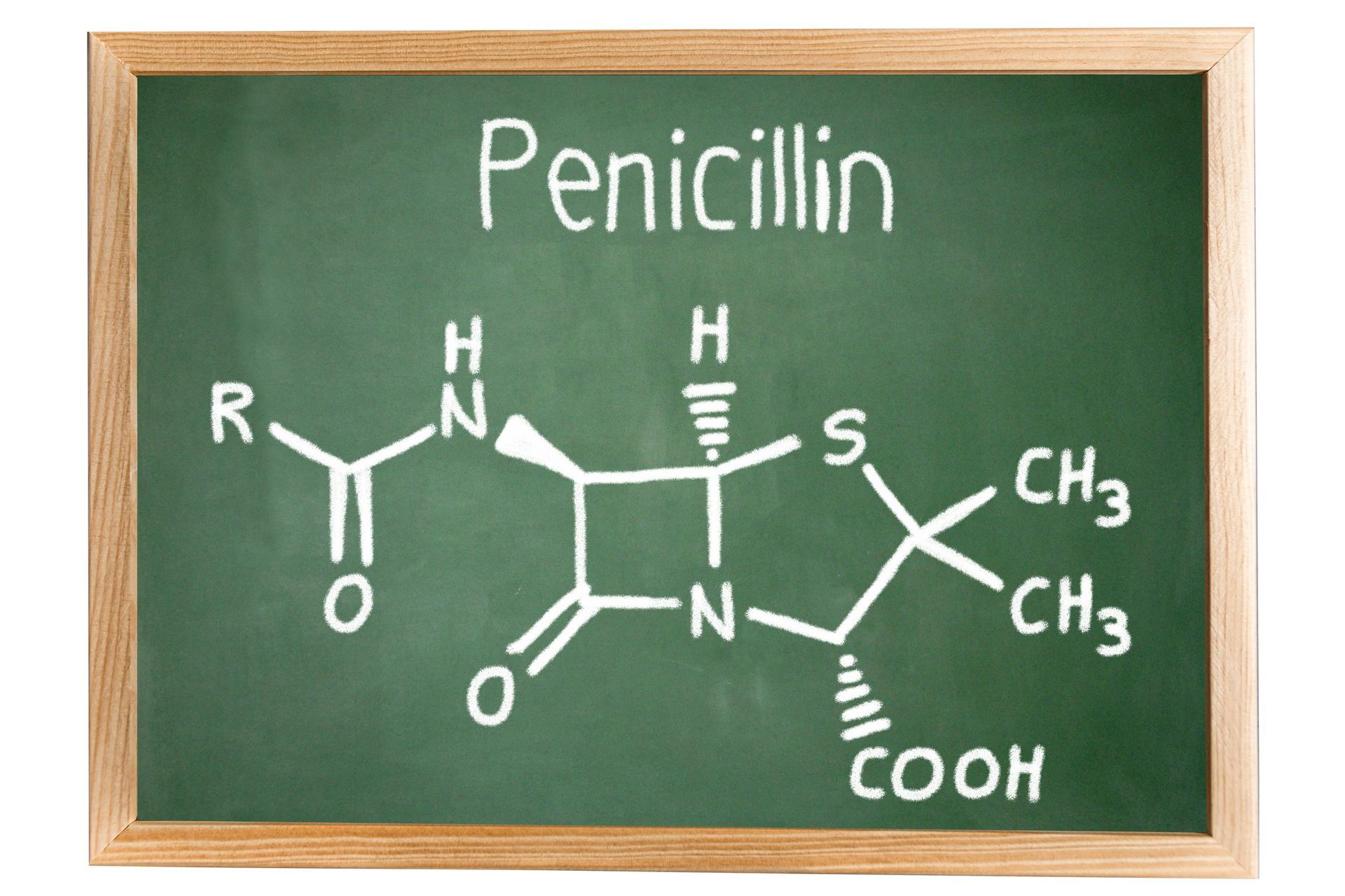 penicylina